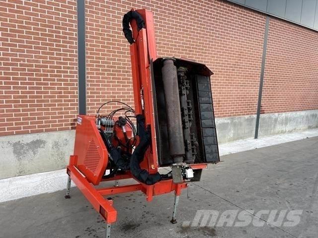 Maschio cristina Косачки