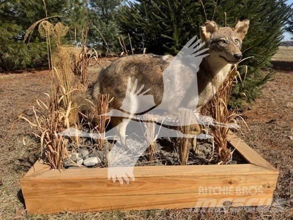 Coyote  Строителство - Други