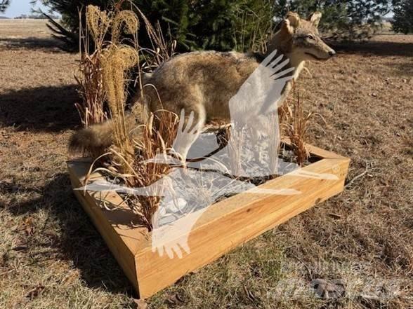 Coyote  Строителство - Други