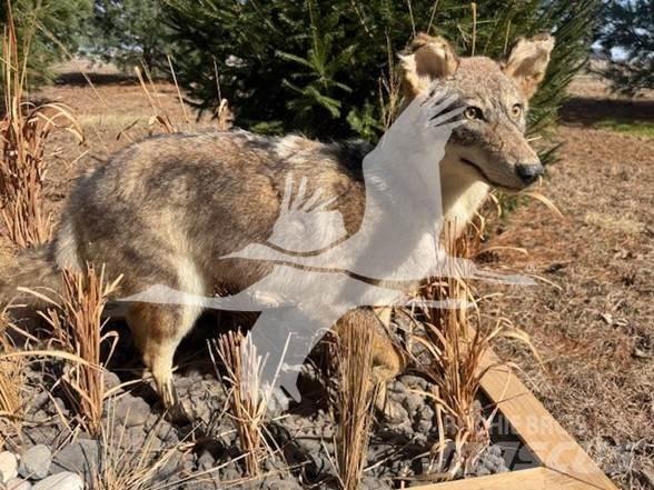 Coyote  Строителство - Други