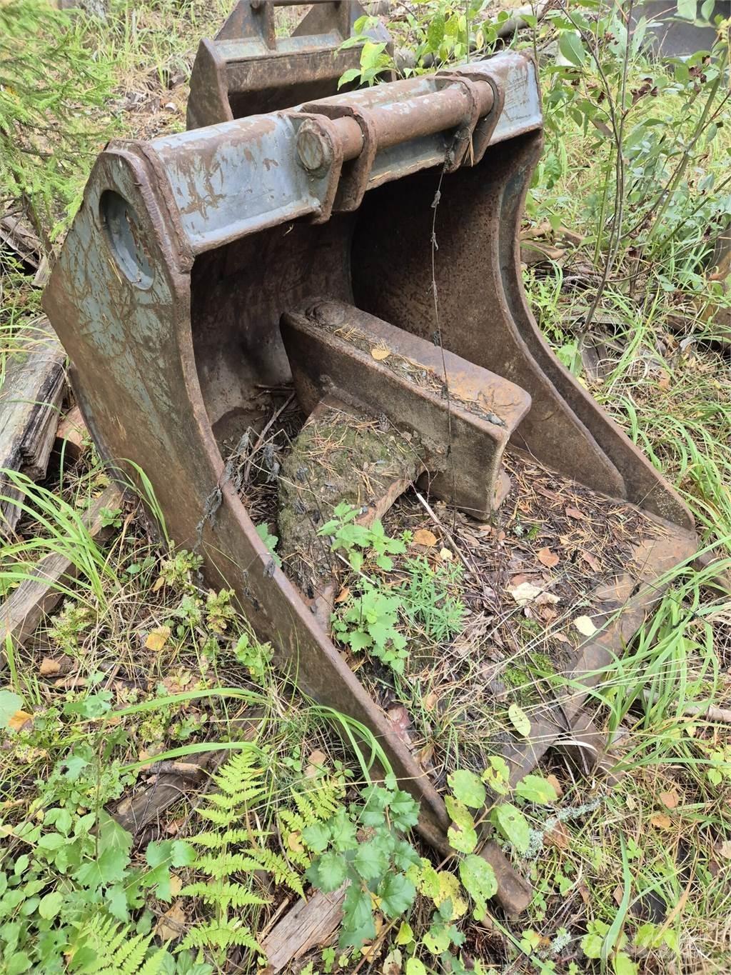 Lännen kynsikauha Кофи