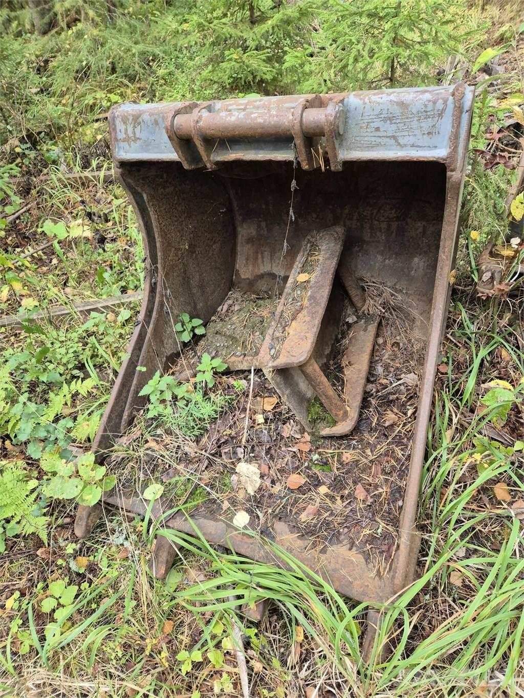 Lännen kynsikauha Кофи