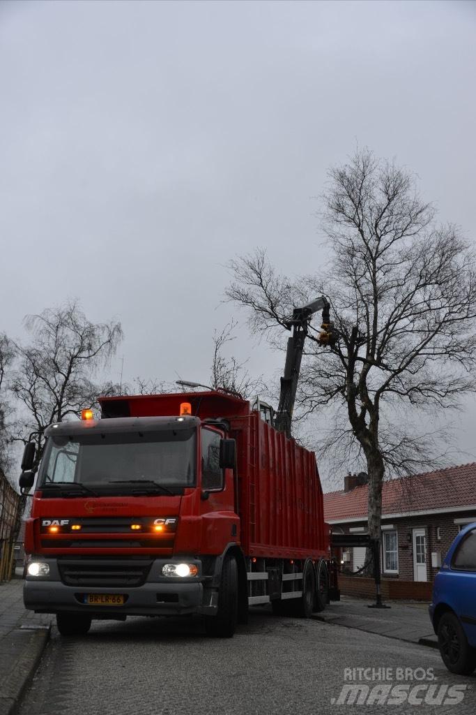 DAF cf As75pc За превоз на дървени трупи