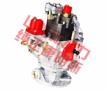 Cummins fuel pump Транспорт - Други