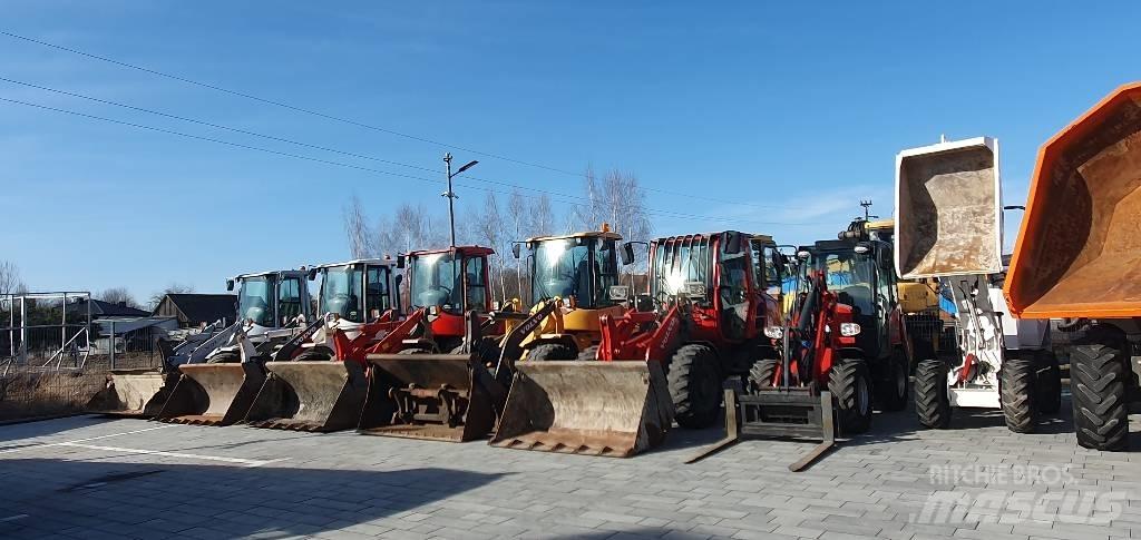 Liebherr L 550 Колесни товарачи