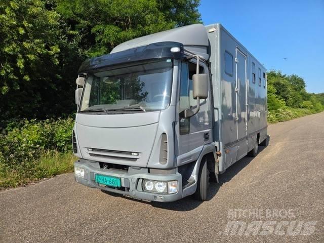 Iveco E 75 Камиони за превоз на животни