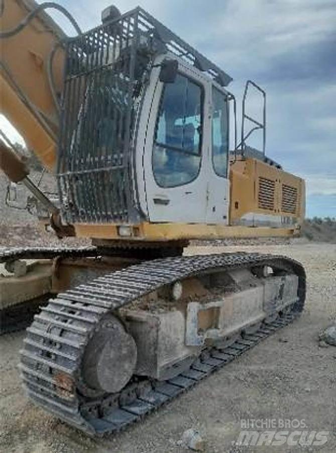 Liebherr R954 Специални екскаватори
