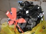 Cummins 4BTA3.9-C80 Двигатели