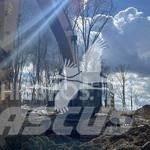 CAT 349EL Верижен екскаватор