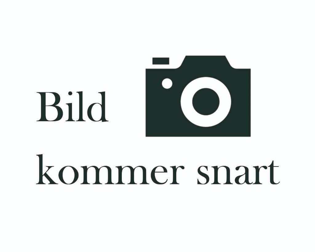 BT LPE250 Транспалетни колички с платформи