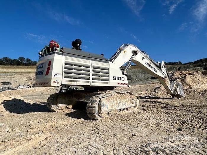 Liebherr R9100 Специални екскаватори