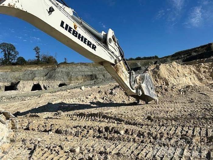 Liebherr R9100 Специални екскаватори