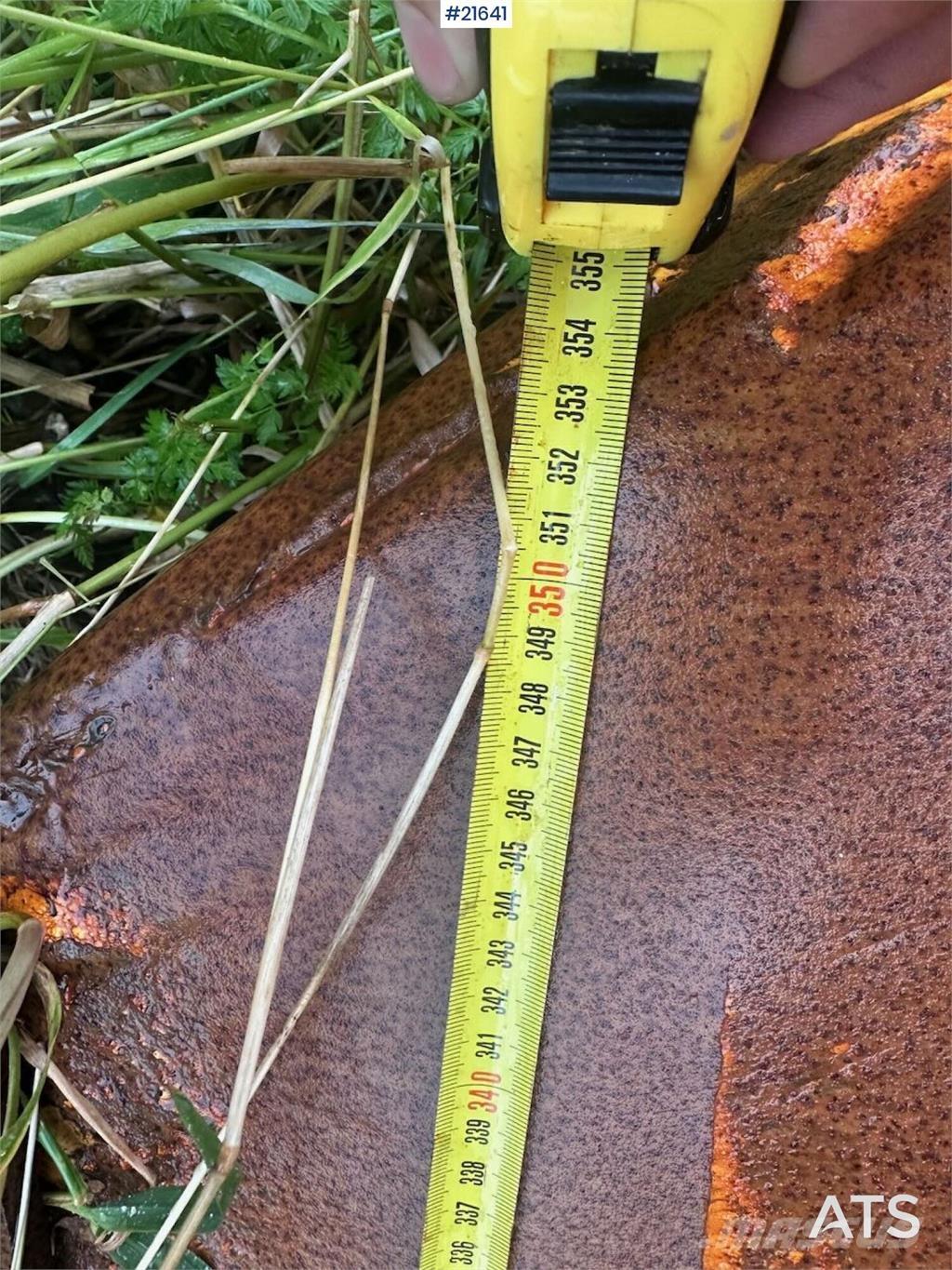  Gmill HDA 265 plow. Транспорт - Други