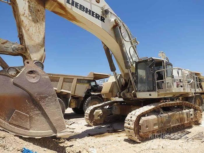Liebherr R9150 Специални екскаватори