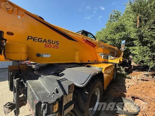 Dieci Pegasus 50.25 Телескопични товарачи