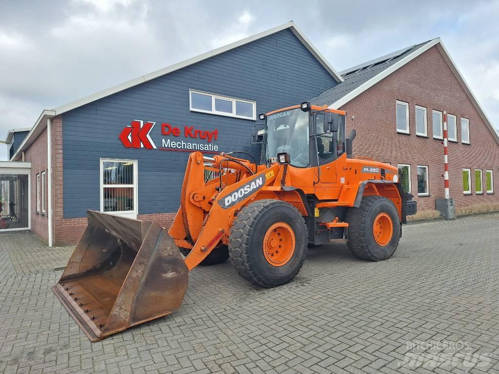 Doosan DL250 Колесни товарачи