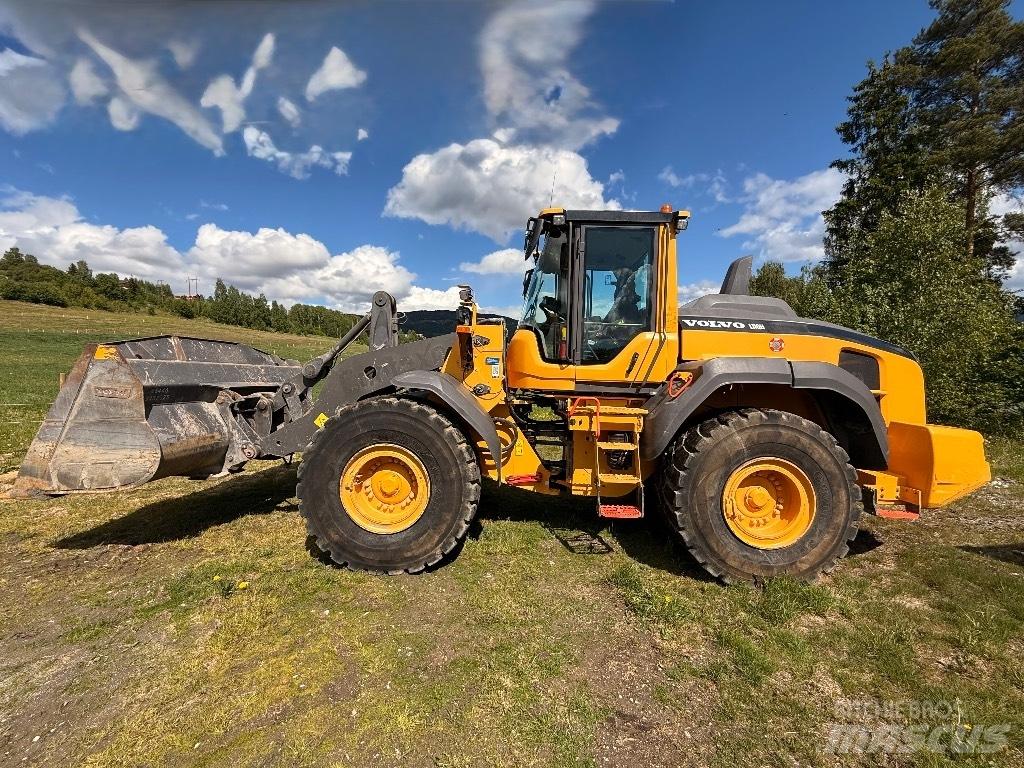 Volvo L 110 H Колесни товарачи