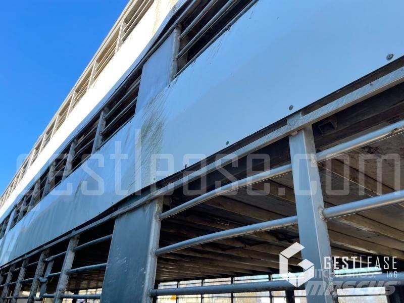 Samro ST39WG Полуремаркета за превоз на животни
