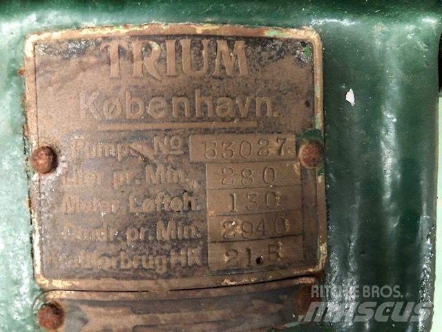  TRIUM QZKS Vandpumpe Водни помпи
