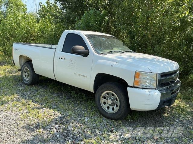 Chevrolet 1500 Пикапи