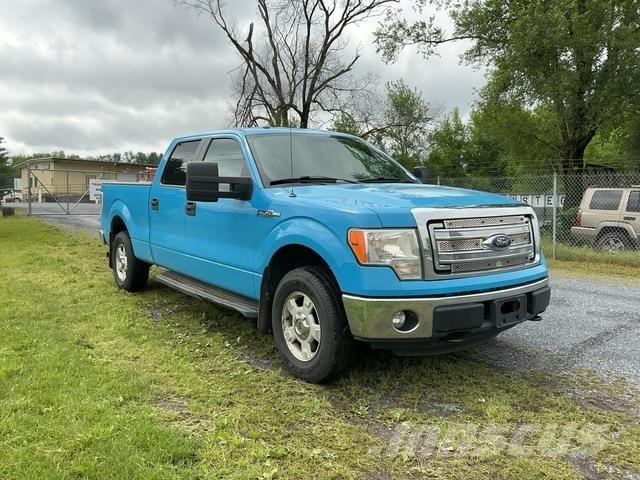 Ford F-150 Пикапи