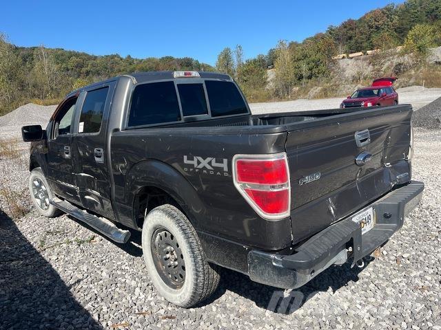 Ford F-150 Пикапи