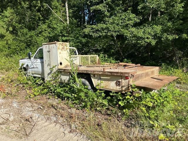 Ford F-450 Бордови