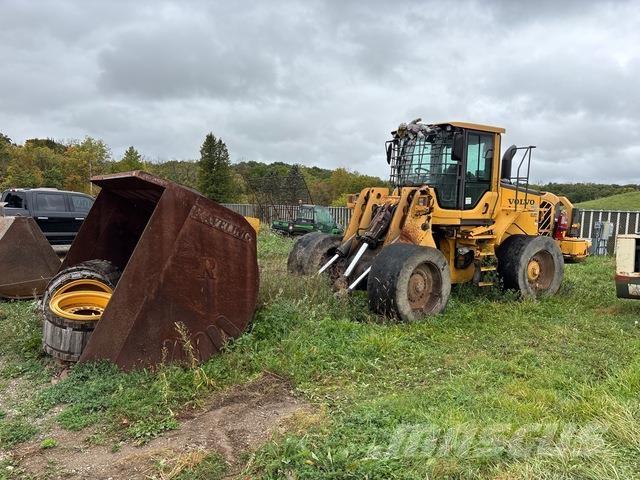 Volvo L110F Колесни товарачи