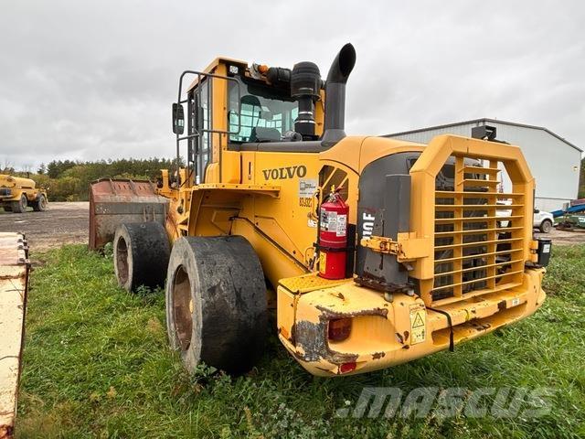 Volvo L110F Колесни товарачи