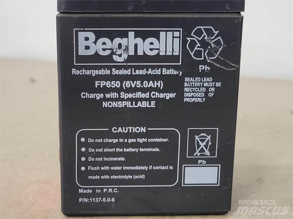  BEGHELLI FP650 Батерии