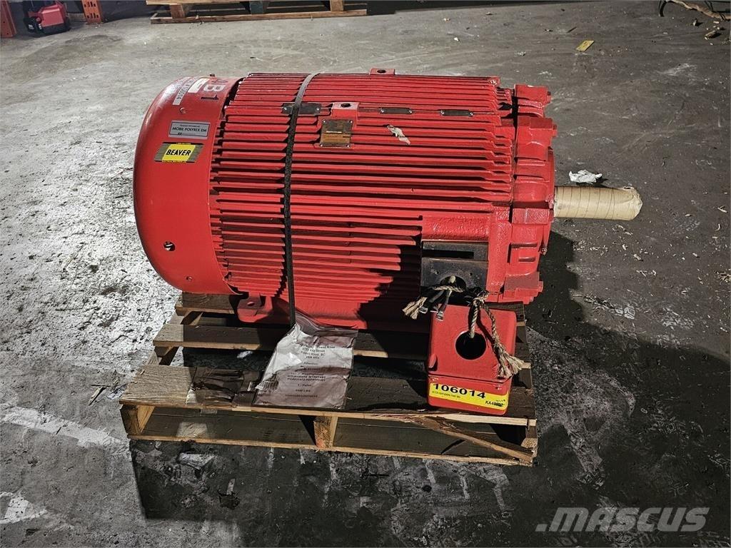 Westinghouse HSBN Индустриални двигатели