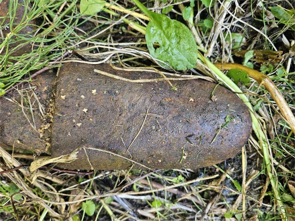  Kynsikuokkakauha Кофи